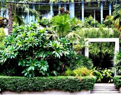 Indra Suite with Balcony